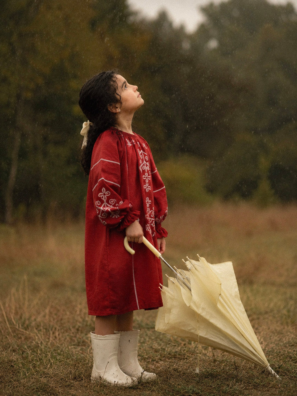 Winterberry Dress