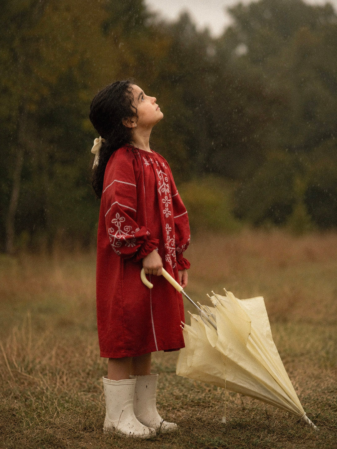 Winterberry Dress